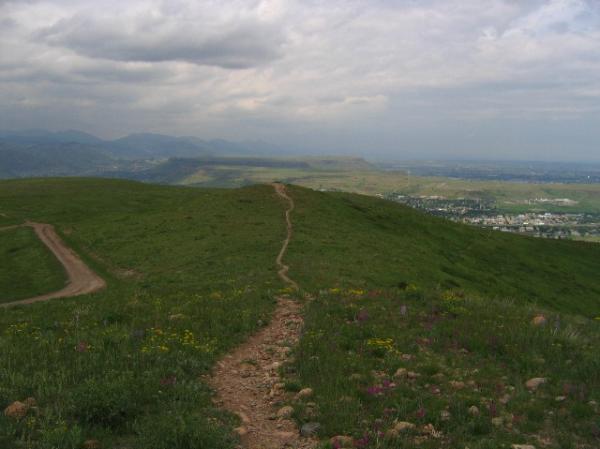 A scenic view of a grassy hillside with a winding dirt path leading toward the horizon. The landscape features rolling green hills and a valley below, under a partly cloudy sky. Wildflowers can be seen dotting the foreground, adding color to the serene natural setting. Green Mountain mountain bike trail.