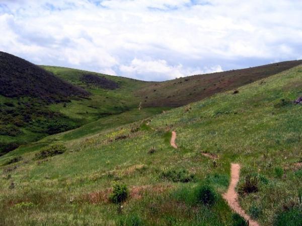 A scenic view of rolling hills covered in lush green grass, with a winding dirt path leading through the landscape. The sky is partly cloudy, adding to the tranquil atmosphere of the natural setting. Green Mountain mountain bike trail.
