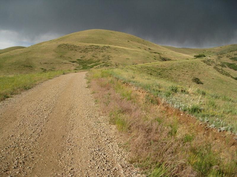 A gravel road winds through rolling green hills under a dark, cloudy sky. Tall grass and wildflowers line the edges of the path, suggesting a rural outdoor setting. Green Mountain mountain bike trail.