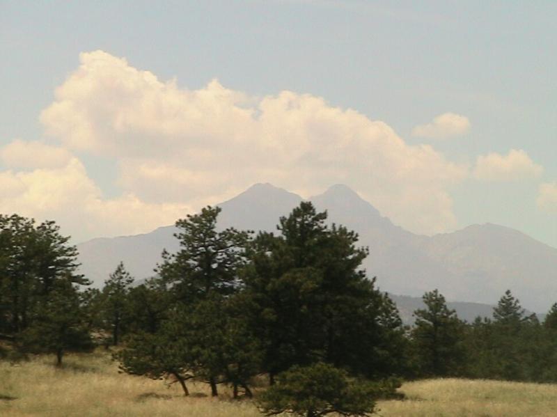 A scenic view of a mountain range in the background, partially covered by clouds, with a foreground of coniferous trees and open grassy land. Hall Ranch mountain bike trail.