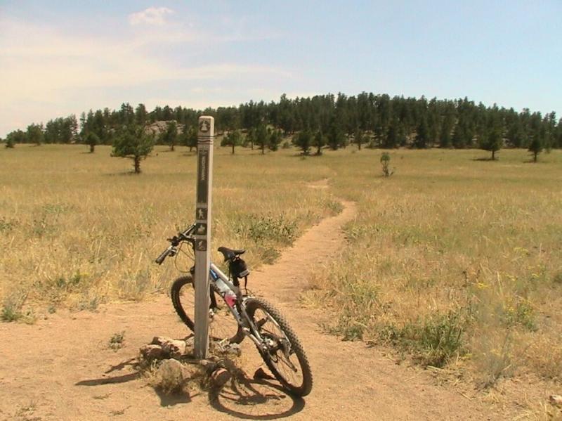 A mountain bike leaning against a trail marker in an open grassy field, with a dirt path winding through the landscape and trees in the background under a clear blue sky. Hall Ranch mountain bike trail.