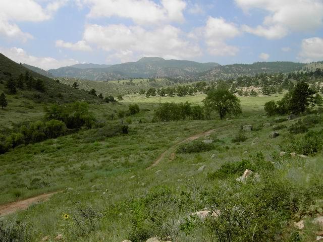 A scenic view of a grassy landscape featuring rolling hills and a distant mountain range under a partly cloudy sky. A winding dirt path leads through the foreground, bordered by shrubs and small rocks. Lush green trees are scattered throughout the meadows, creating a serene natural atmosphere. Hall Ranch mountain bike trail.