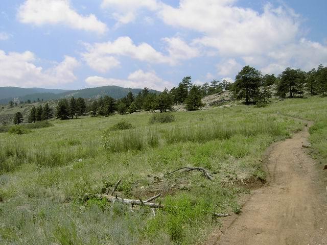 A scenic view of a grassy meadow bordered by trees, with a dirt path leading into the landscape. The sky is partly cloudy, and rolling hills are visible in the background. Hall Ranch mountain bike trail.