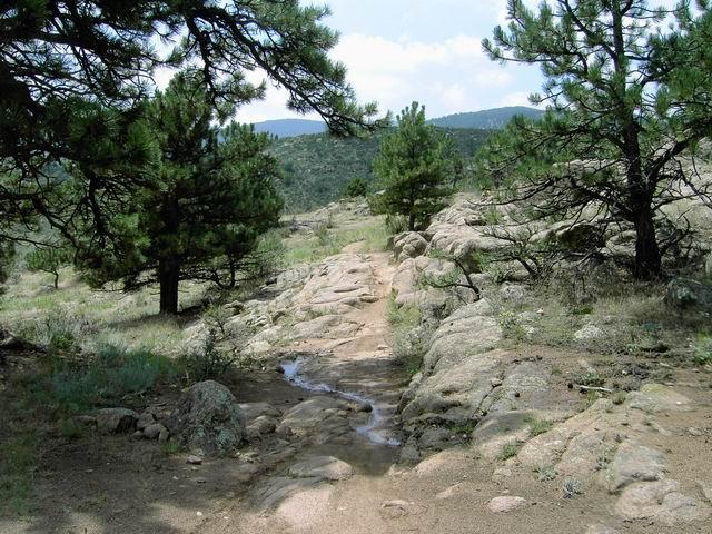 A rocky hiking trail winding through a forested area, featuring pine trees on either side and a small stream of water flowing along the path. The background includes rolling hills and a partly cloudy sky. Hall Ranch mountain bike trail.