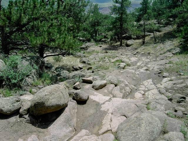A rocky dirt path winding through a forested area, surrounded by tall pine trees and scattered boulders. The landscape features a mix of grass and rocky terrain, leading into a distant view of hills or mountains. Hall Ranch mountain bike trail.