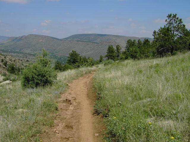 A winding dirt path leads through a lush green landscape, flanked by tall grass and scattered trees. In the background, rolling hills rise against a partly cloudy blue sky, creating a serene natural setting. Hall Ranch mountain bike trail.