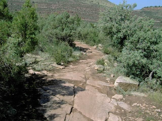 A rocky trail surrounded by greenery, leading through a natural landscape with shrubs and trees, set against a hillside in the background. Hall Ranch mountain bike trail.