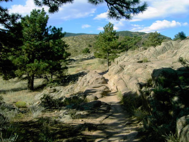A scenic view of a hiking trail winding through rocky terrain surrounded by pine trees, with rolling hills and a blue sky dotted with clouds in the background. Hall Ranch mountain bike trail.