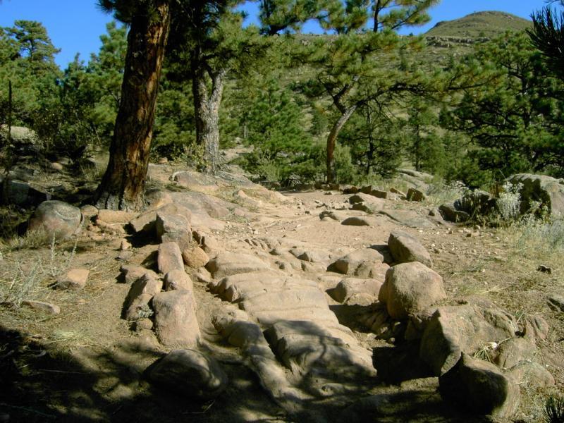 A rocky dirt path winding through a forested area, surrounded by pine trees and boulders. The sunlight filters through the trees, illuminating the uneven trail and the natural landscape. Hall Ranch mountain bike trail.