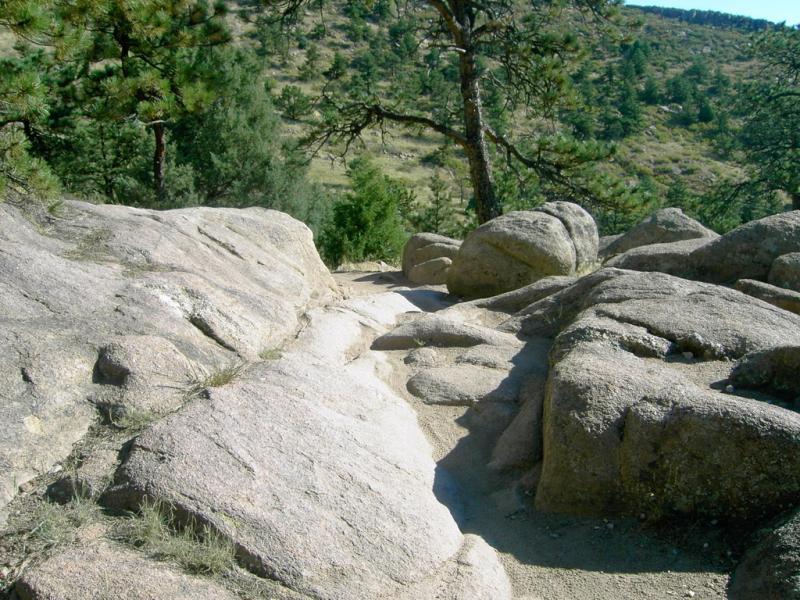 A rocky path surrounded by trees and shrubs, featuring large boulders and a sandy section leading into a natural landscape. Hall Ranch mountain bike trail.