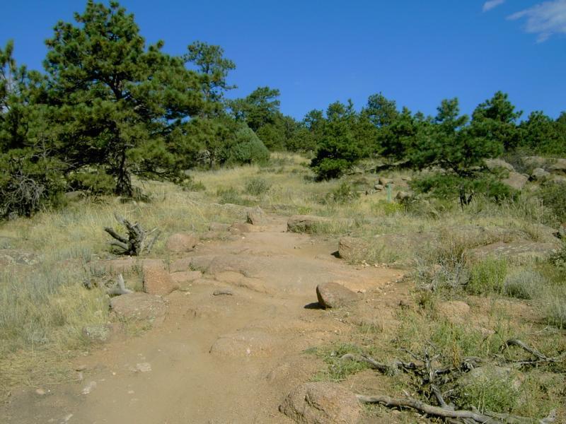 A rugged dirt path winding through a grassy landscape, flanked by scattered rocks and green pine trees, under a clear blue sky. Hall Ranch mountain bike trail.