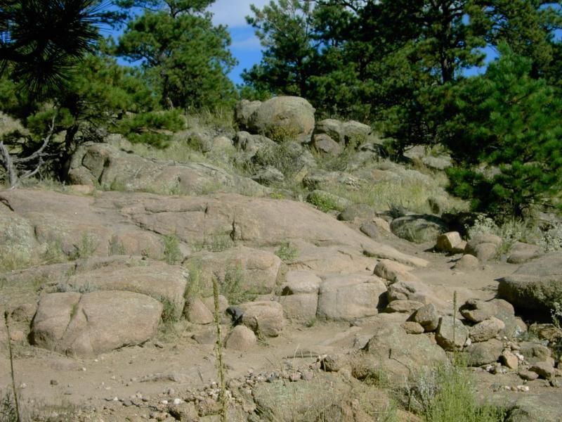 A rocky landscape featuring various sizes of boulders and stones, surrounded by patches of grass and sparse pine trees under a blue sky. Hall Ranch mountain bike trail.