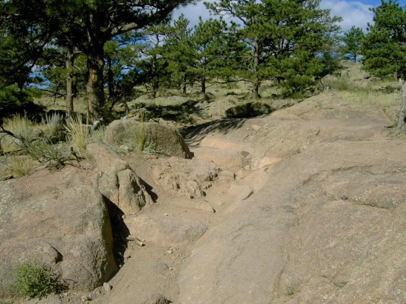 Rocky hiking trail surrounded by pine trees and grassy areas under a blue sky with scattered clouds. Hall Ranch mountain bike trail.