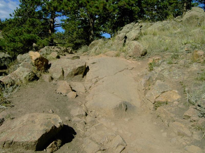 A rocky hiking trail winding through a wooded area, featuring uneven terrain with patches of dirt and grass. Tall trees are visible in the background under a clear blue sky. Hall Ranch mountain bike trail.