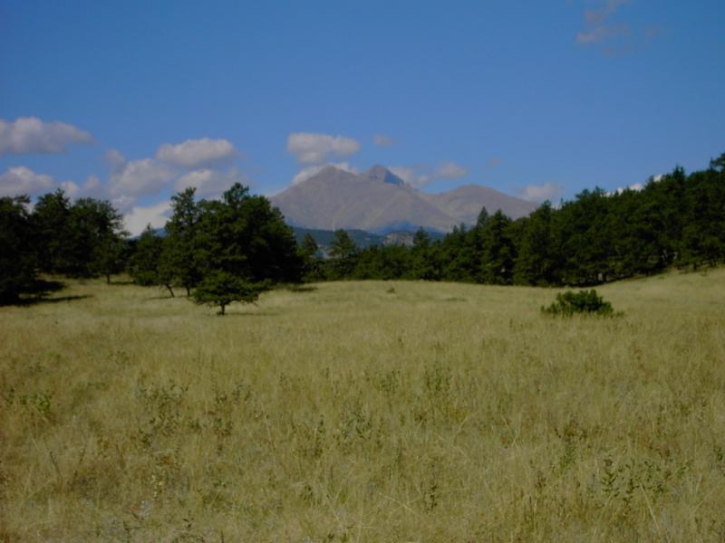A wide view of a grassy field with sparse trees in the foreground, leading up to a mountainous landscape in the background under a clear blue sky with a few clouds. Hall Ranch mountain bike trail.