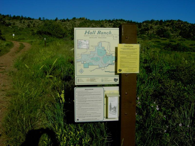 A trailhead sign for Hall Ranch, displaying a detailed map of the area and information about the North Foothills Open Space. In the background, a winding dirt path leads into lush greenery and rolling hills under a clear blue sky. Hall Ranch mountain bike trail.