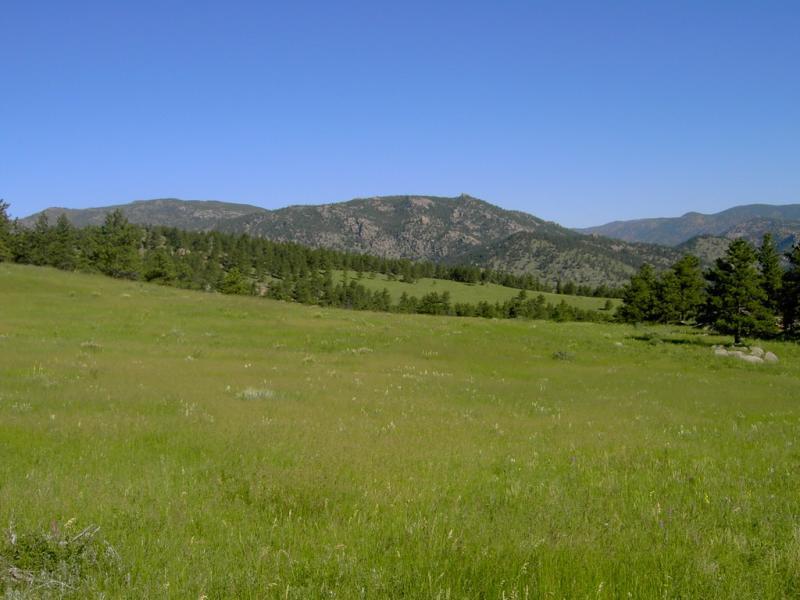 A vibrant green grassy field extends towards distant mountains under a clear blue sky, with patches of trees dotting the landscape. Hall Ranch mountain bike trail.