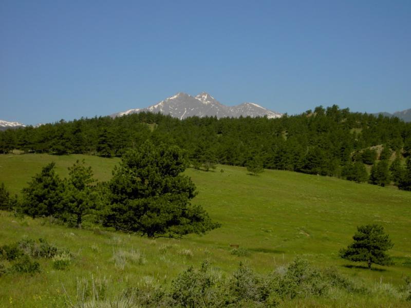A scenic view of a mountainous landscape featuring a snow-capped peak in the background surrounded by lush green hills and dense pine trees under a clear blue sky. Hall Ranch mountain bike trail.