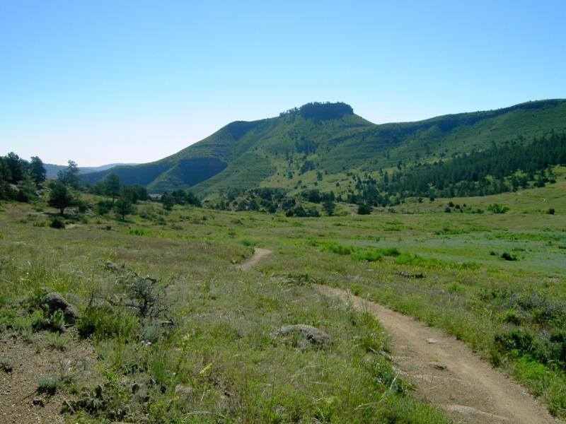 A scenic view of a grassy valley with rolling hills and a prominent mountain in the background under a clear blue sky. A dirt path winds through the landscape, leading into the distance where more hills and clusters of trees are visible. Hall Ranch mountain bike trail.