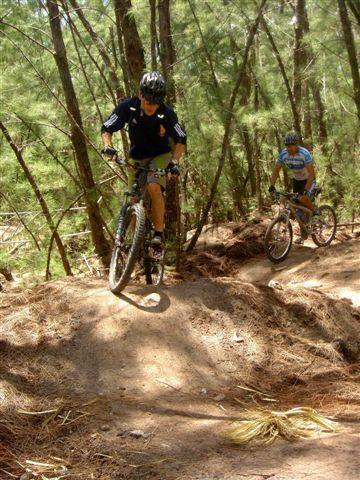 Two mountain bikers navigating a dirt trail through a wooded area, with one rider in the foreground jumping off a small hill and the other approaching on a nearby path. Trees surround the scene, creating a natural environment for outdoor cycling. Oleta River State Park mountain bike trail.