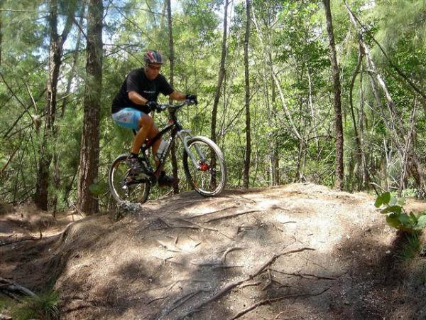 A mountain biker navigating over a dirt mound on a forest trail, surrounded by lush green trees. The rider is wearing a black t-shirt, blue shorts, and a helmet, leaning forward on the bike as they prepare to descend. Oleta River State Park mountain bike trail.