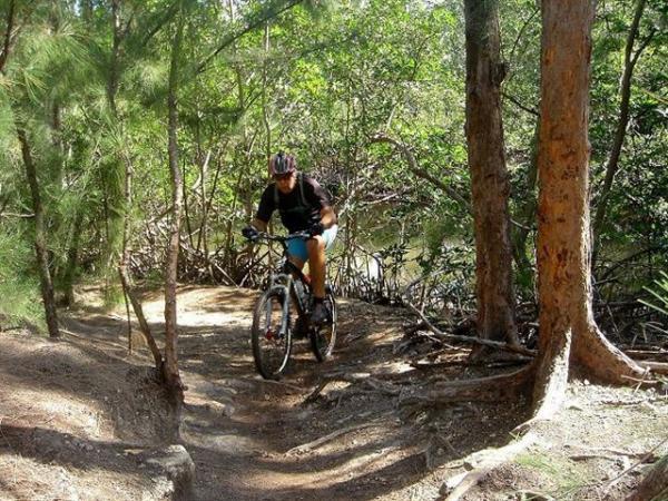 A person riding a mountain bike along a narrow dirt trail surrounded by lush greenery and trees. The trail features rough terrain and is situated near a body of water. The scene captures an outdoor adventure in a natural setting. Oleta River State Park mountain bike trail.