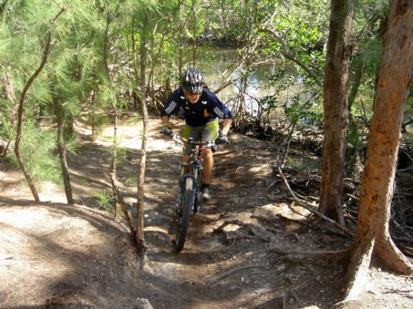 A mountain biker navigating a narrow dirt trail surrounded by trees and vegetation near a waterway. The rider is wearing a helmet and athletic gear, focused on traversing the uneven terrain. Oleta River State Park mountain bike trail.