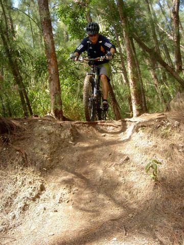 A mountain biker navigating a dirt path through a forest, showcasing skill as they approach a small jump, with trees and foliage visible in the background. Oleta River State Park mountain bike trail.
