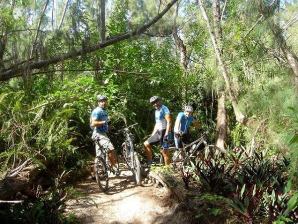 Three mountain bikers dressed in blue shirts and helmets are posing on a dirt trail surrounded by lush greenery and tropical plants. The scene captures a vibrant forest setting, showing bikes parked beside them as they take a break during their ride. Oleta River State Park mountain bike trail.