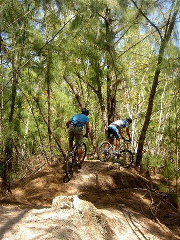 Two mountain bikers navigating a dirt trail in a lush, wooded area. Tall trees surround them as they ride over a small mound of earth. Oleta River State Park mountain bike trail.
