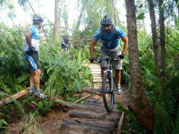Two mountain bikers are in a lush, green forest. One rider is actively jumping over a wooden bridge, while another stands nearby, observing. The scene features dense ferns and tall trees, highlighting the natural environment and the excitement of mountain biking. Oleta River State Park mountain bike trail.