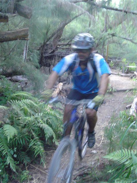 A blurry image of a mountain biker wearing a helmet and blue shirt, riding a bike on a narrow, wooded trail surrounded by ferns and greenery. Oleta River State Park mountain bike trail.