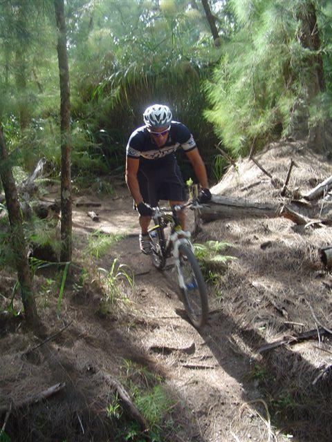 A cyclist navigating a narrow, wooded trail on a mountain bike, surrounded by trees and underbrush, with sunlight filtering through the foliage. The rider is focused and wearing a helmet and cycling attire. Oleta River State Park mountain bike trail.