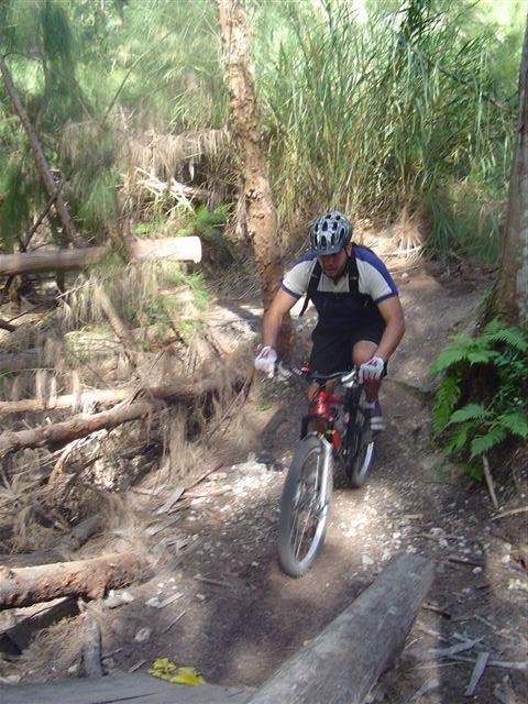 A mountain biker navigating a narrow dirt trail through a dense forest. The trail is lined with fallen logs and lush greenery, with the rider wearing a helmet and athletic gear. Sunlight filters through the trees, highlighting the rugged terrain. Oleta River State Park mountain bike trail.
