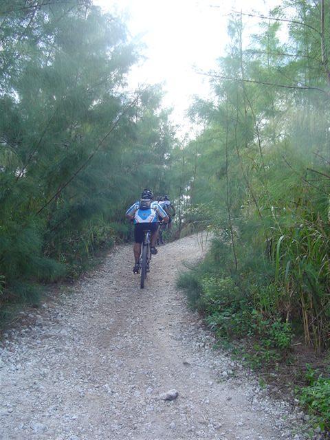 Two mountain bikers riding along a gravel path surrounded by dense greenery. The trail winds through tall vegetation, with a bright atmosphere suggesting a sunny day. Oleta River State Park mountain bike trail.