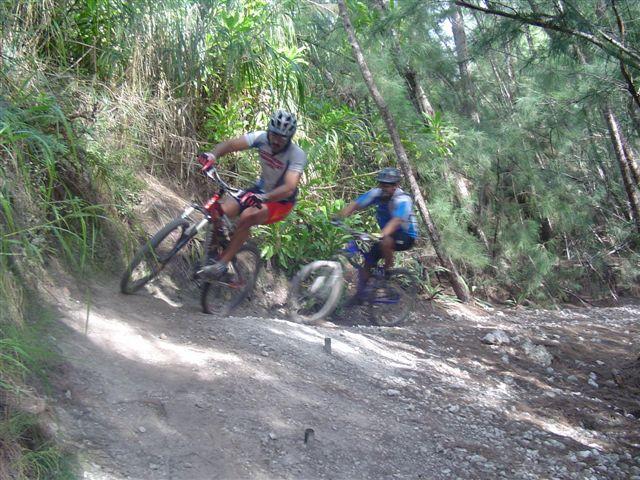 Two mountain bikers navigating a winding trail through a dense forest. One rider, in a red and gray outfit, leans into a turn, while the other, dressed in blue, follows closely behind. Lush greenery surrounds the path, which is made of dirt and gravel, indicating a rugged outdoor setting. Oleta River State Park mountain bike trail.