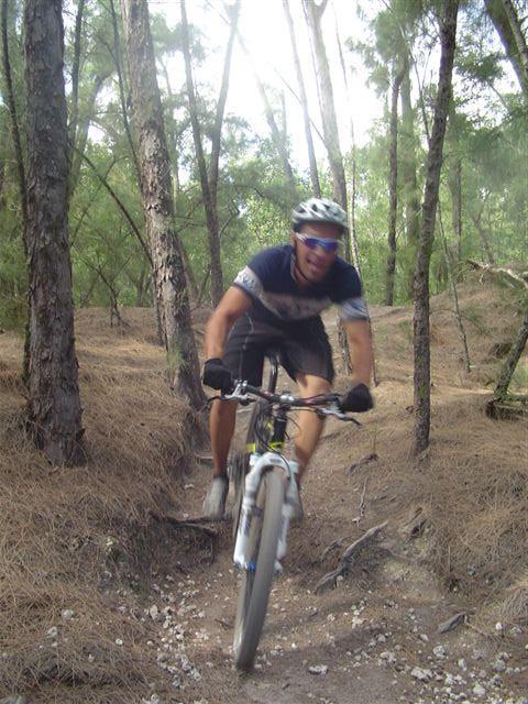 A mountain biker riding downhill on a dirt trail through a wooded area, with trees in the background and pine needles on the ground. The rider is wearing a helmet and sunglasses, and is in a dynamic pose, suggesting speed and excitement. Oleta River State Park mountain bike trail.