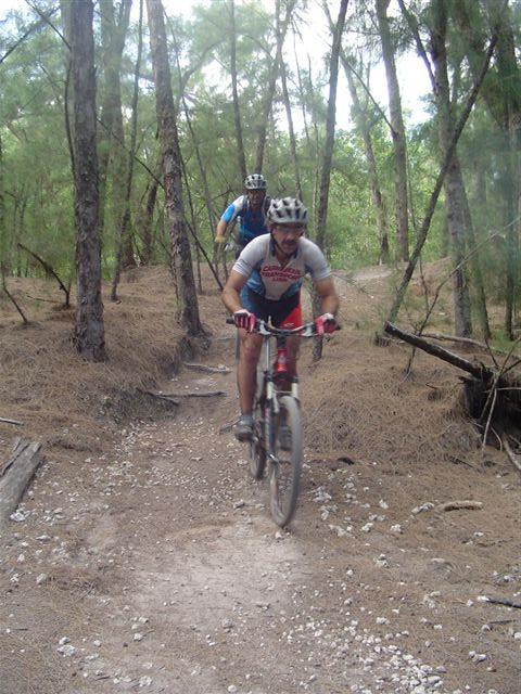 Two mountain bikers riding on a narrow dirt trail through a forest. The foreground biker is wearing a helmet and a colorful jersey, focused on the path ahead. The background biker trails closely behind, navigating among trees. The ground is covered with pine needles and small rocks, while greenery surrounds the trail. Oleta River State Park mountain bike trail.