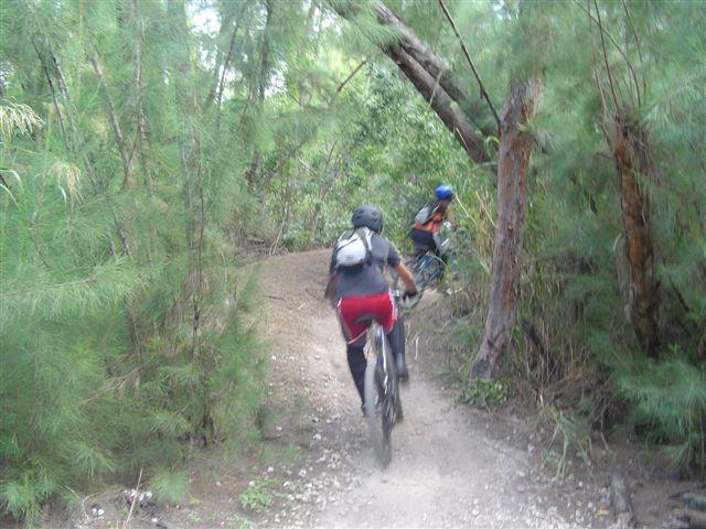 Two mountain bikers riding on a dirt trail through a wooded area, surrounded by tall green plants and trees. One cyclist is dressed in a dark outfit with a backpack, while the other is wearing a blue helmet and an orange shirt. The path curves slightly, indicating a natural and adventurous setting. Oleta River State Park mountain bike trail.
