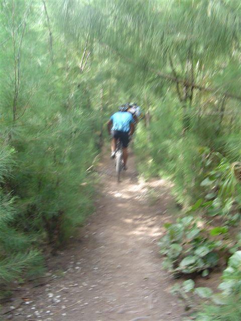 Mountain biker riding on a narrow dirt trail surrounded by dense greenery and trees. The image captures the motion of the biker from behind, emphasizing the natural setting of the path. Oleta River State Park mountain bike trail.