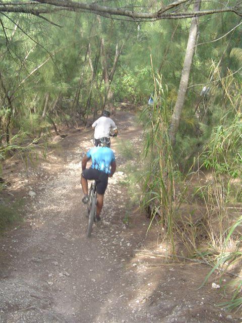Two mountain bikers riding along a dirt trail surrounded by trees and vegetation in a forested area. The first biker is wearing a light blue shirt and black shorts, while the second biker is in a grey shirt and black shorts. Sunlight filters through the trees, highlighting the natural scenery. Oleta River State Park mountain bike trail.