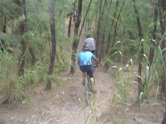 Two cyclists riding mountain bikes on a narrow dirt trail surrounded by tall grass and trees. The scene captures a sense of adventure and nature, as the cyclists navigate through a lush forested area. Oleta River State Park mountain bike trail.