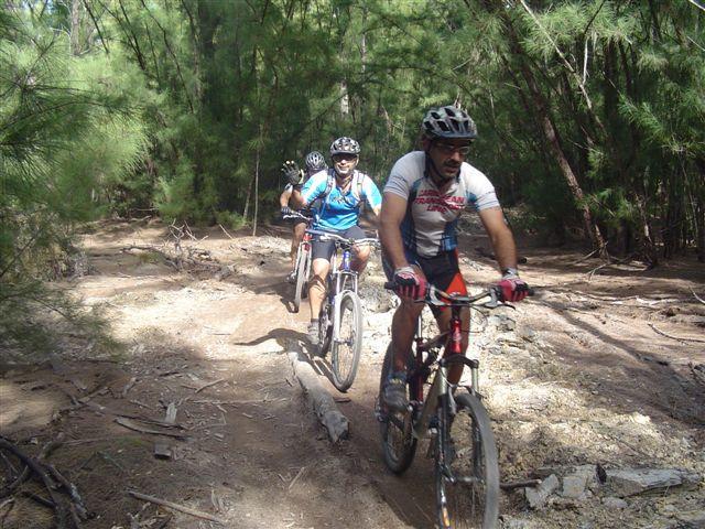 Three cyclists riding mountain bikes along a dirt trail in a wooded area. The path is surrounded by trees, and the cyclists are wearing helmets and athletic clothing. The scene captures an outdoor adventure in nature. Oleta River State Park mountain bike trail.