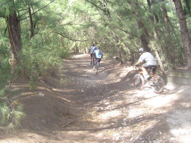 A group of cyclists riding along a gravel path through a lush, green forest. The trail is bordered by trees, creating a shaded and natural atmosphere. Oleta River State Park mountain bike trail.