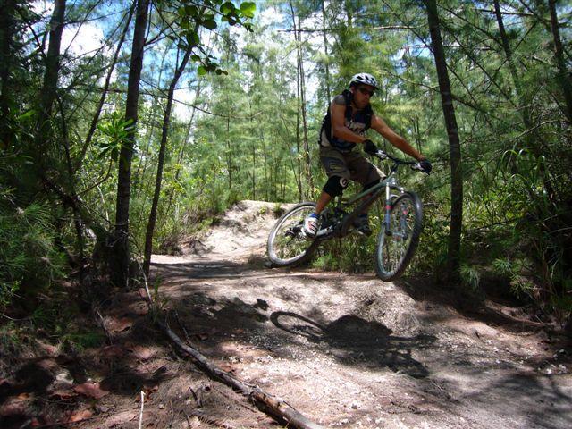 A mountain biker in motion, jumping off a dirt ramp surrounded by tall, green trees in a sunny outdoor setting. Oleta River State Park mountain bike trail.