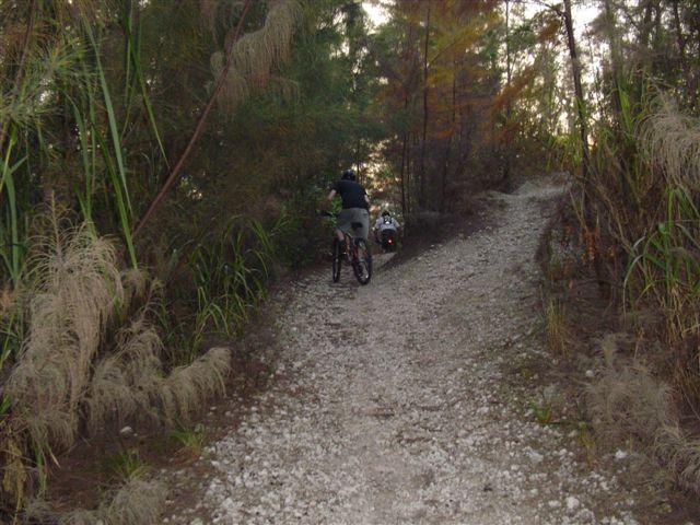 A person riding a bicycle on a gravel pathway surrounded by tall grass and trees in a wooded area during dusk. Oleta River State Park mountain bike trail.