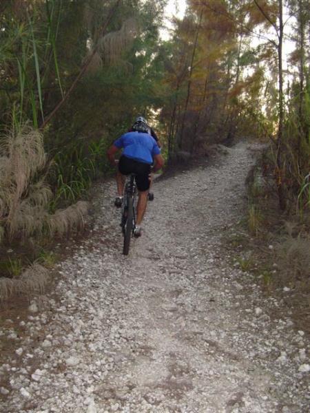 A person riding a mountain bike up a narrow, gravel path surrounded by dense vegetation and trees, with the trail winding through a natural landscape. Oleta River State Park mountain bike trail.