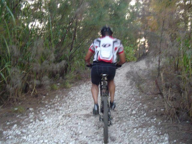 A person riding a mountain bike on a gravel path surrounded by dense foliage. The cyclist is wearing a red and white jersey and a backpack, facing away from the camera as they navigate the trail.  Oleta River State Park mountain bike trail.