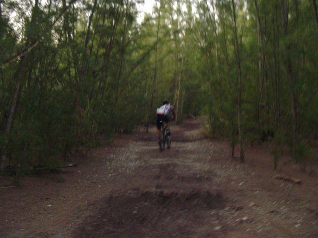 A cyclist riding a mountain bike along a dirt trail surrounded by thick greenery and trees. The path is uneven, with small rocks and a slight incline as the cyclist navigates through a natural setting. The scene appears to be in a wooded area, capturing the essence of outdoor biking adventures. Oleta River State Park mountain bike trail.