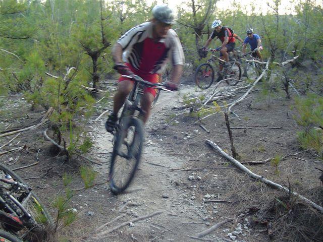 A group of mountain bikers racing along a narrow trail in a wooded area with pine trees and scattered rocks. One biker is in the foreground, leaning into a turn, while two others are visible in the background navigating the trail. The scene captures the dynamic movement and excitement of outdoor biking. Oleta River State Park mountain bike trail.